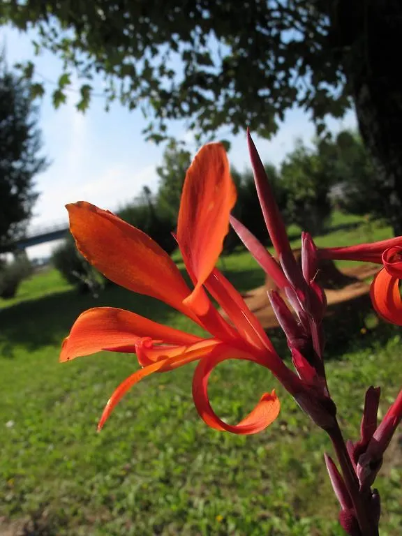 Villa El Shaddai Campi Bisenzio Italy